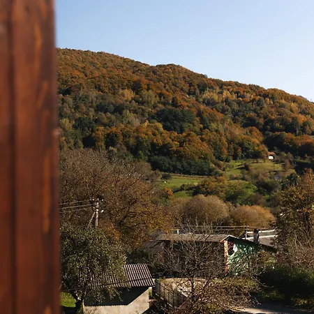 казка * Vizhenka